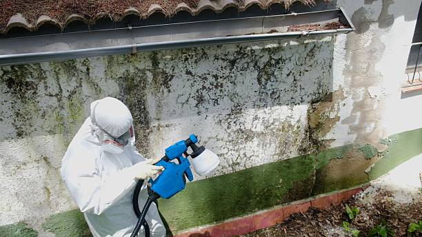 Top rated local Mold Removal specialists in Columbia, MD